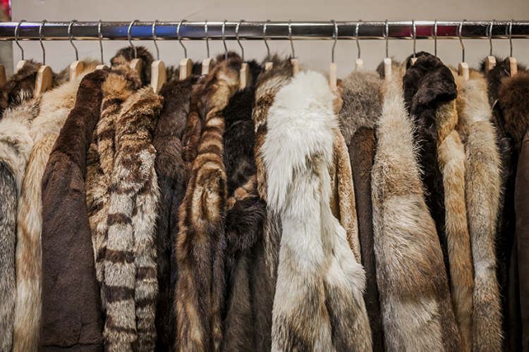 fur stores