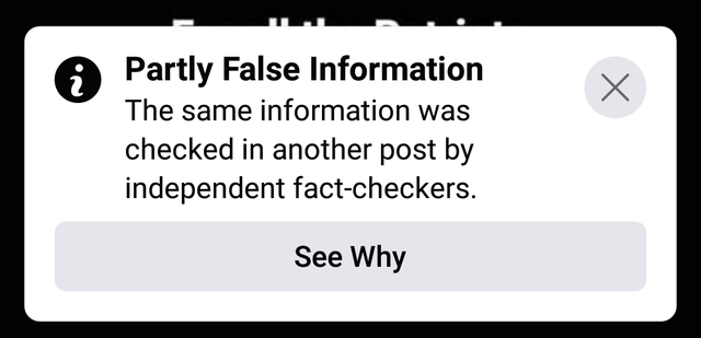 Seeking Truth: A Step-by-Step Guide To Fact Checking | Peacock Plume