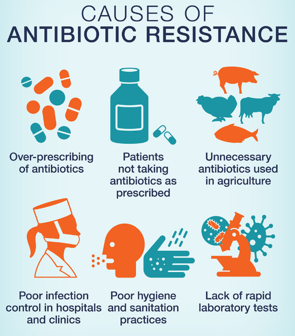antibiotic resistance poster