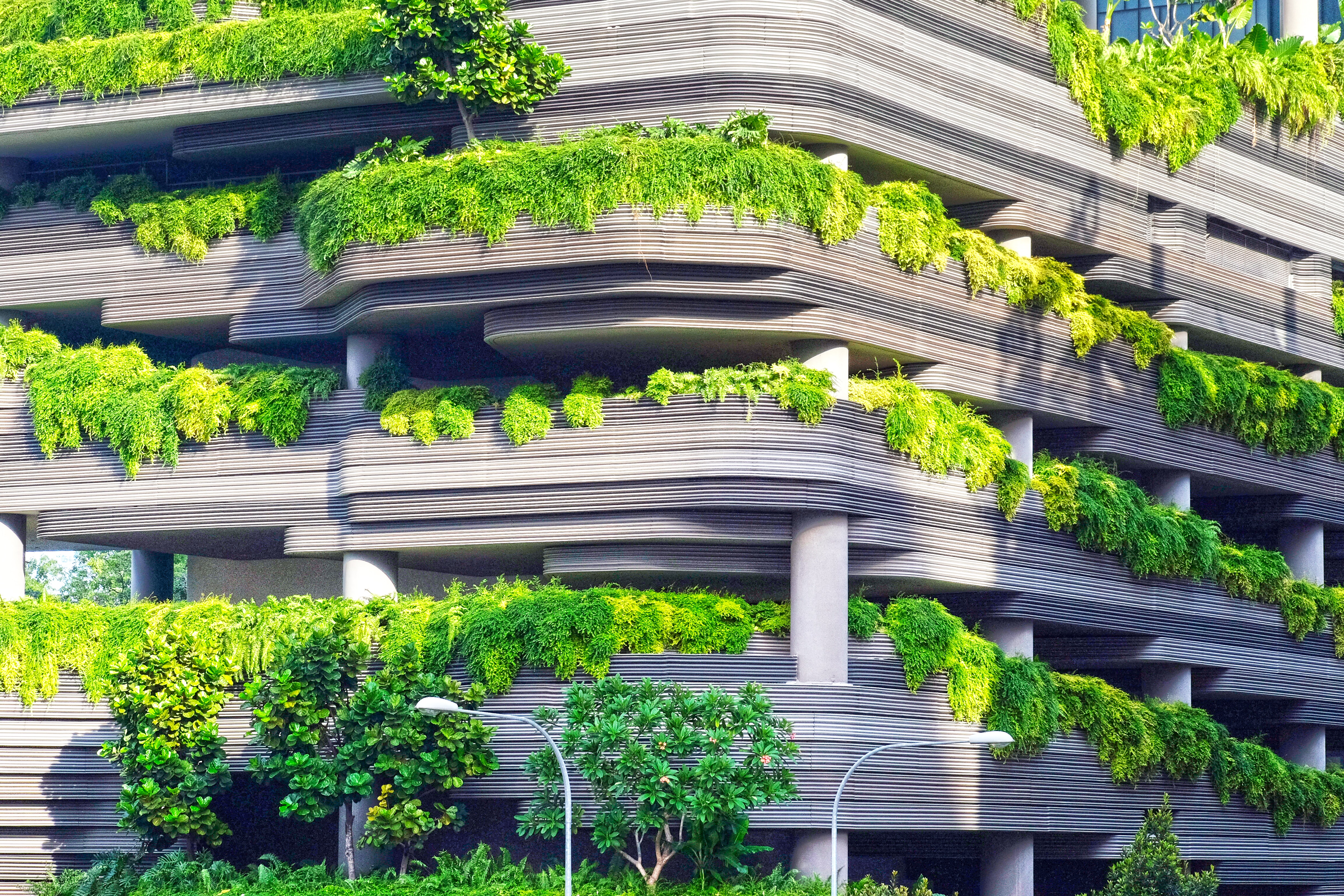 urban sustainability
