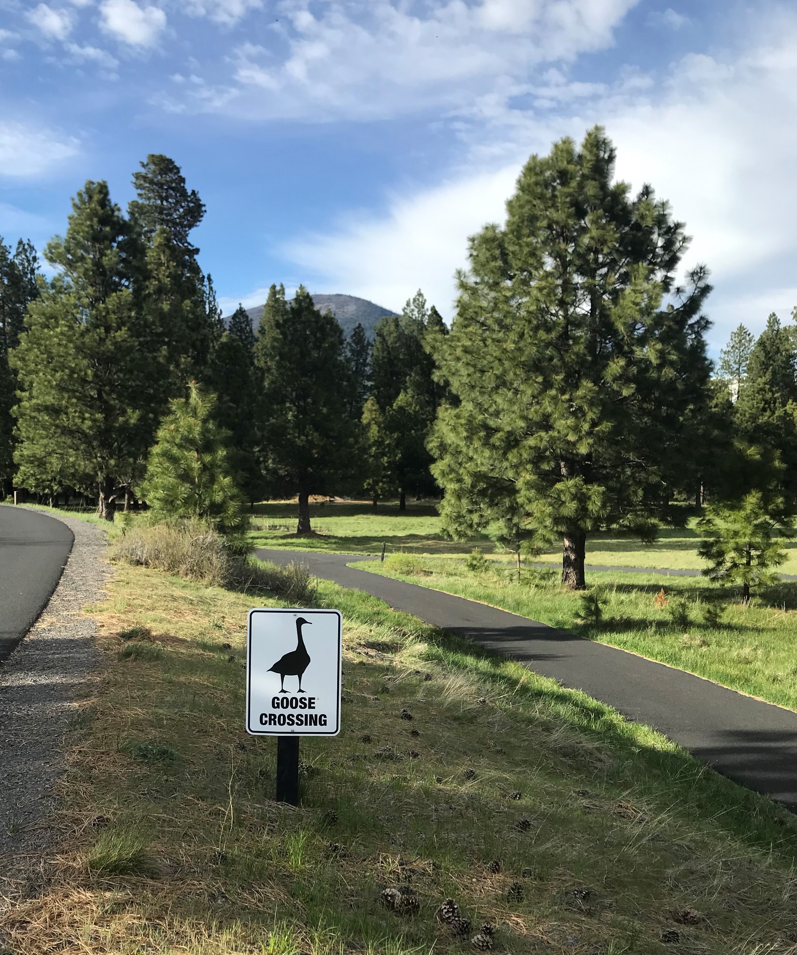 Goose Crossing Sign with Black Butte in Distance, Image Credit: Bucky Fuchs