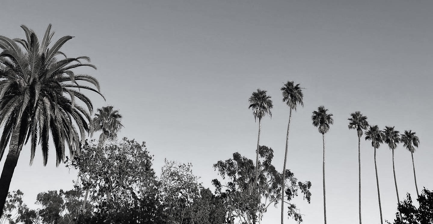Los Angeles/ Image credit: Chloe Obolensky 