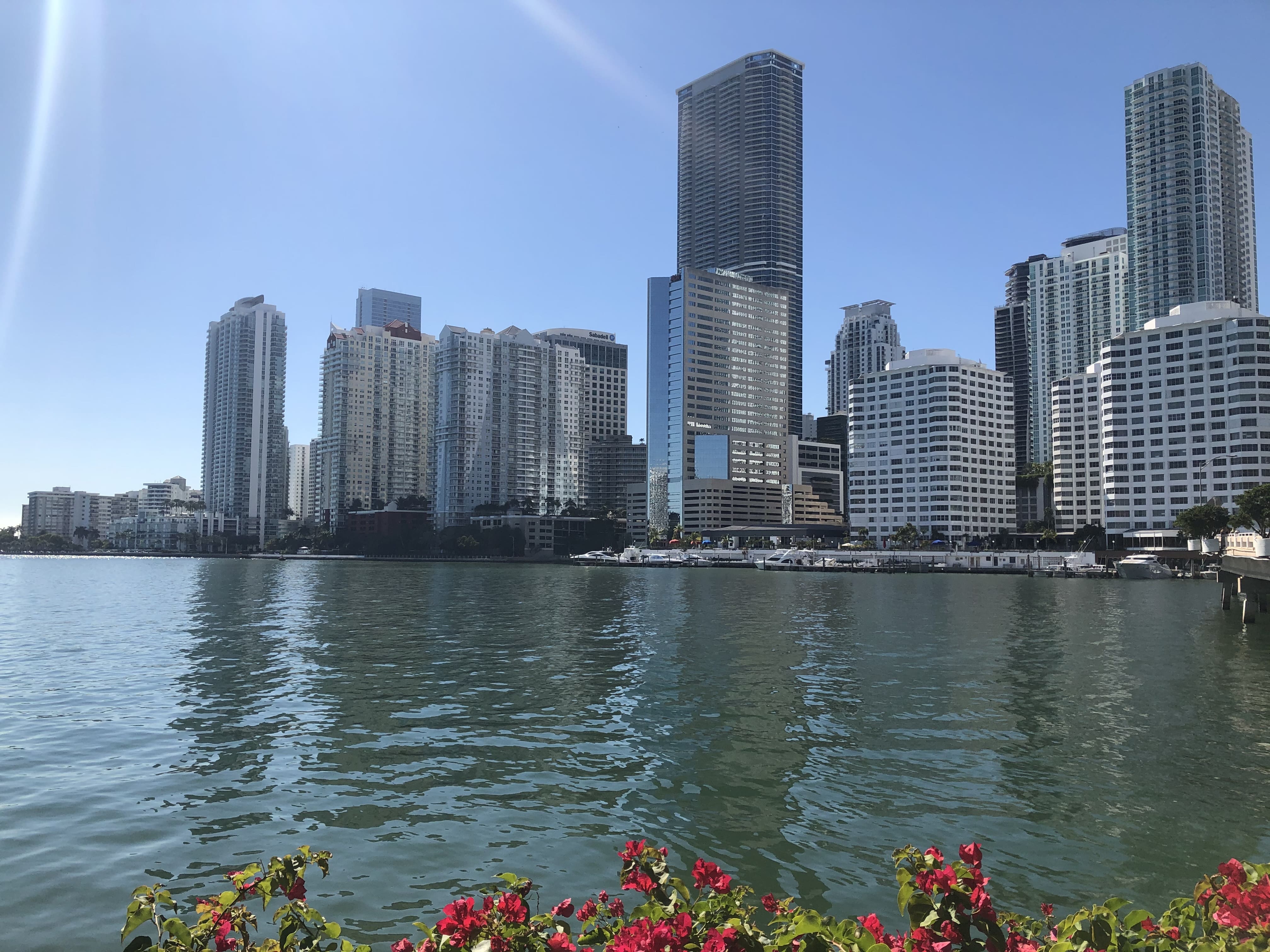 A picture of Downtown Miami. / Image Credit: William Brandt