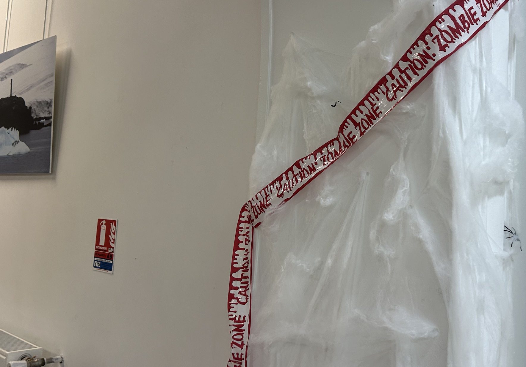 AUP Campus during spooky season / Image credit: Fiona Langan