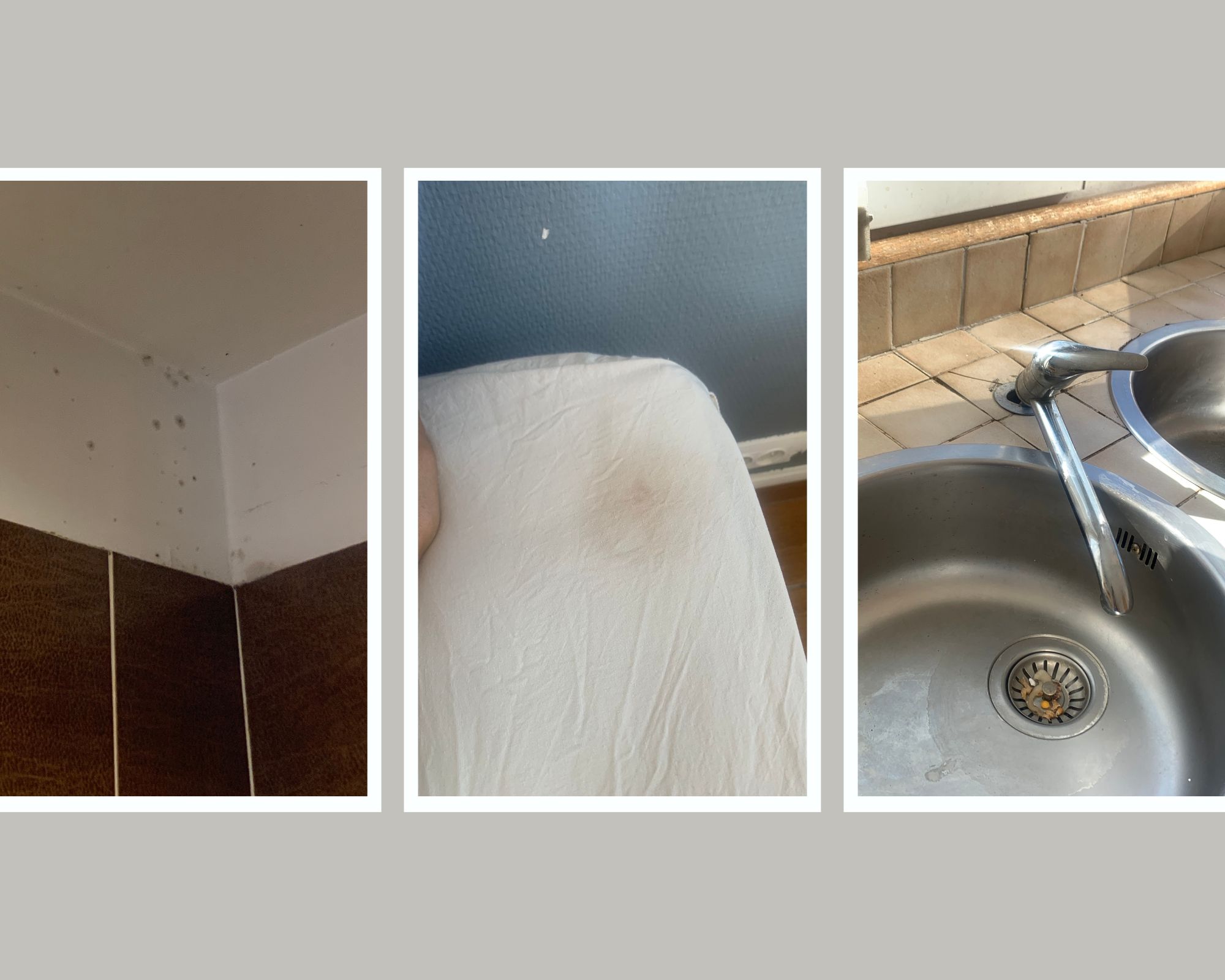 photocredit: Lindsey