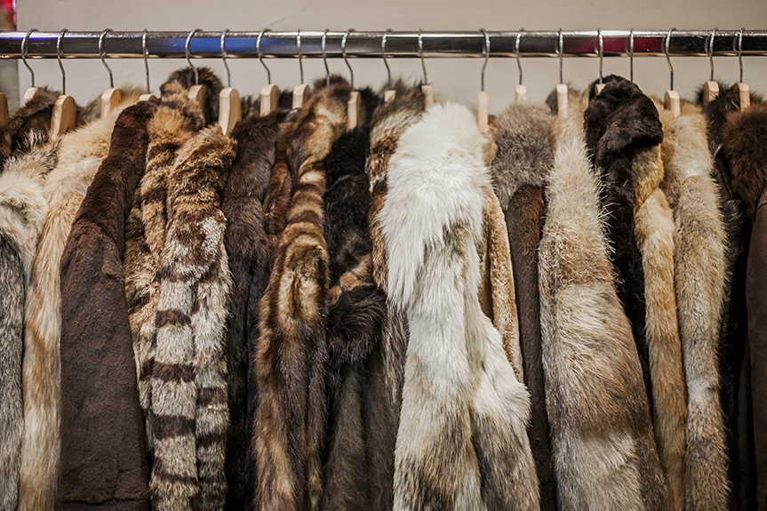 fur coats, secondhand fashion, secondhand clothing, thrift stores, thrift shops, fur coats, fur clothing, sustainable fashion, ethical fashion