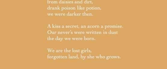 A poem written by @chamomilde on Instagram. 