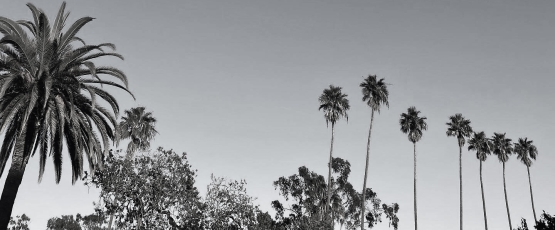 Los Angeles/ Image credit: Chloe Obolensky 