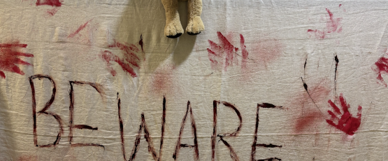 AUP Halloween Event / Image credit: Fiona Langan