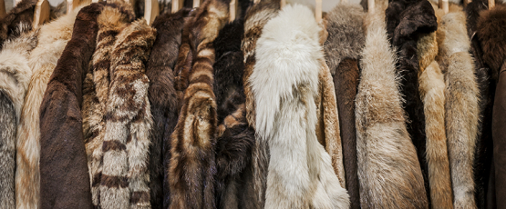 fur coats, secondhand fashion, secondhand clothing, thrift stores, thrift shops, fur coats, fur clothing, sustainable fashion, ethical fashion