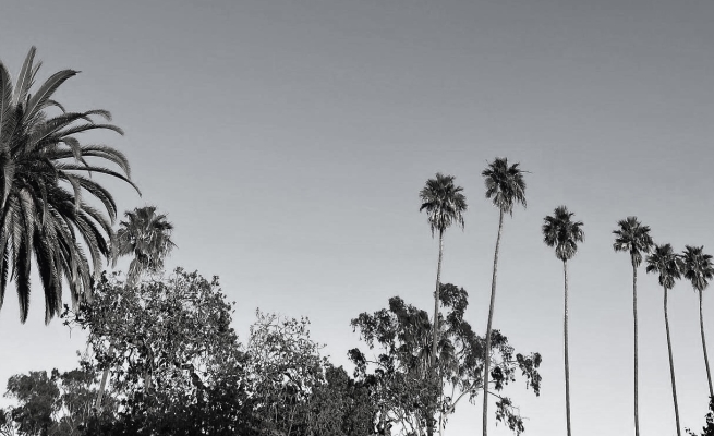 Los Angeles/ Image credit: Chloe Obolensky 