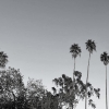 Los Angeles/ Image credit: Chloe Obolensky 
