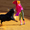 A Bullfight in Sevilla, Spain, 2024; Image Credit: Paul Kenny McGrath via Unsplash