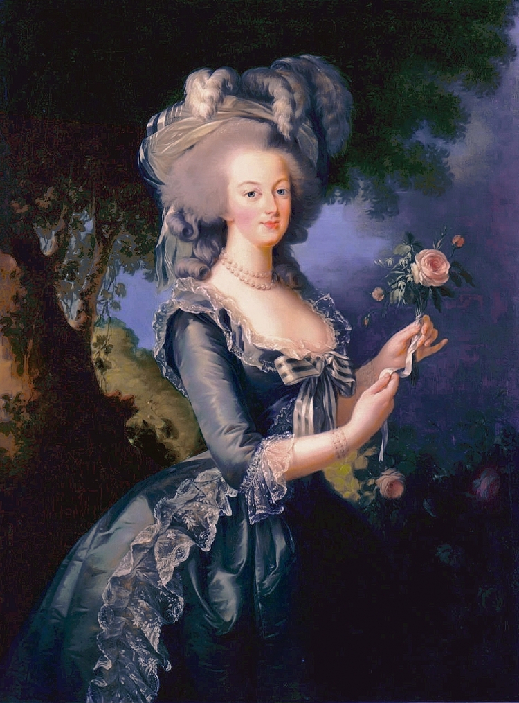 Élisabeth Louise Vigée Le Brun: Portraits of Marie-Antoinette and Courtly  Life